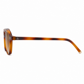 Lente de sol Manzini Animal Print / Café UV400 X